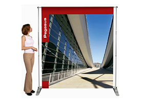 Bannerdisplay Pegasus